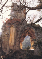 OPPEDE LE VIEUX RUINES DU CHATEAU  (ANA2) - Oppede Le Vieux