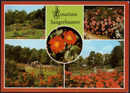 E7687 - TOP Sangerhausen - Bild Und Heimat Reichenbach - Sangerhausen