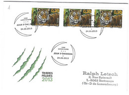 Luxembourg 2013 Tiger Tigre - Lettres & Documents