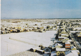 (E713) - FICAROLO (Rovigo) - Panorama Sotto La Neve - Rovigo