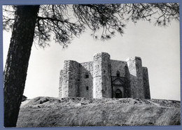 °°° Cartolina - Andria Castel Del Monte Nuova (l) °°° - Barletta