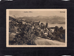 98725     Svizzera,   Hilterfingen  Am  Thunersee,  VG  1912 - Hilterfingen