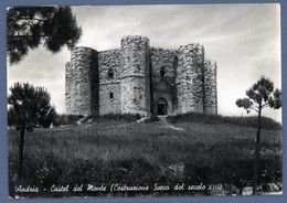 °°° Cartolina - Andria Castel Del Monte  Viaggiata (l) °°° - Andria