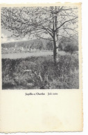 - 1941 -      RENDEUX   JUPILLE -SUR-OURTHE     Joli Coin - Rendeux