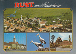 1099) RUST Am Neusiedlersee - Störche Und Häuser Der Stadt - Neusiedlerseeorte