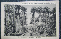 Guyane  L' Hopital Cayenne Cpa - Cayenne