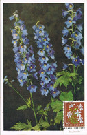 39179. Tarjeta Maxima BERN (Suisse) 1960. Flowers, Flores, DAUPHINELLE - Cartes-Maximum (CM)