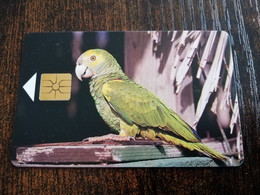 BONAIRE Naf 5,00 20units  YELLOW SHOULDERED PARROT      **4661** - Antille (Olandesi)