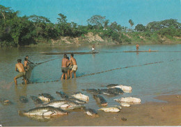 Cuiabala Pêche Au Filet - Cuiabá