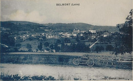 BELMONT VUE GENERALE - Belmont De La Loire