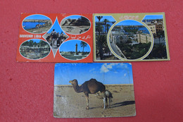 Libia Libya Tripoli Bengasi Lotto 3 Cartoline - Libya