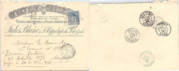 LETTRE PUBLICITAIRE VIGNES AMERICAINE ET FRANCO-AMERICAINE JULES BLANC ST-HYPOLTE-DU FORT GARD 24.11.1894  /1 - 1876-1898 Sage (Type II)