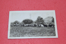 Libia Libya Tripoli Homs Paesaggio Foto A. Bruni 1931 - Libia