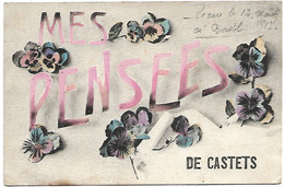 L100H545 - Castets - Mes Pensées De Castets - Castets