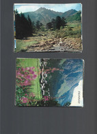 Lot De 50 Cartes Postales Grand Format Modernes - 5 - 99 Karten