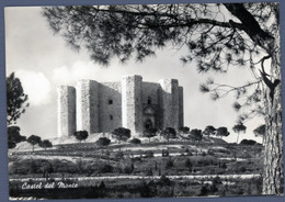 °°° Cartolina - Castel Del Monte Viaggiata (l) °°° - Bari