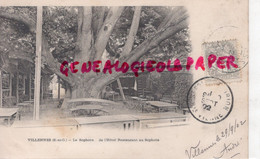 78 - VILLENNES - ARBRE  LE SOPHORA DE L' HOTEL RESTAURANT AU SOPHORA- CARTE PRECURSEUR 1902 - Villennes-sur-Seine