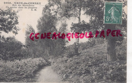 78- VAUX DE CERNAY- BOIS DES MARECHAUX - UN SENTIER DANS LES FOUGERES 1910 - Vaux De Cernay