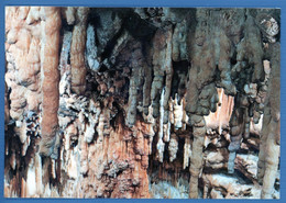 °°° Cartolina - Grotte Di Castellana Realtà Meravigliosa Viaggiata (l) °°° - Bari