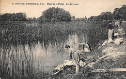 Montfort L'Amaury           78      Etang De La Plaine. Les Laveuses    (voir Scan) - Montfort L'Amaury