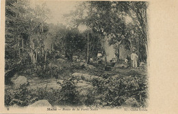 Mahé Route De La Foret Noire Dos Non Divisé Avant 1903 Cliché Erdula - Seychellen