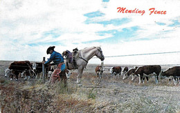 [DC12511] CPA - KANSAS - MENDING FENCE - Viaggiata 1959 - Old Postcard - Altri & Non Classificati