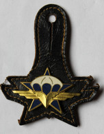 Bel Insigne Militaire 1° RCP 1er Régiment De Chasseurs Parachutistes - Drago Paris - Army