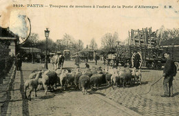 Pantin * Troupeau De Moutons à L'octroi De La Porte D'allemagne * Berger * Métier - Pantin