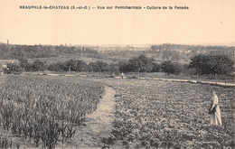 Neauphle Le Château        78         Vue De Pontchartrain.  Culture De La Pensée         (voir Scan) - Neauphle Le Chateau