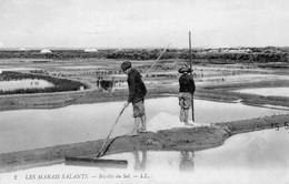 Les Marais Salants - Récolte Du Sel - Animé - Pays De La Loire