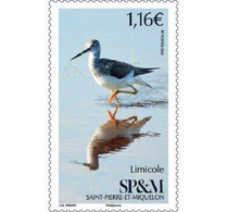 Saint Pierre & Miquelon - Postfris / MNH - Vogels 2020 - Neufs