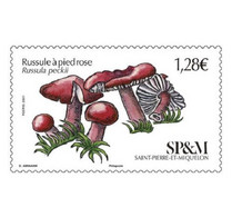 Saint Pierre & Miquelon - Postfris / MNH - Paddenstoelen 2021 - Unused Stamps
