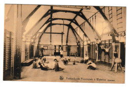 WATERLOO FERME-ECOLE PROVINCIALE GYMNASE - Waterloo