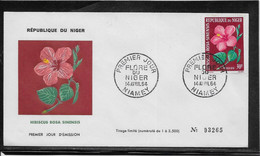 Thème Fleurs - Niger - Enveloppe - TB - Other & Unclassified