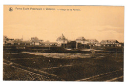 WATERLOO FERME-ECOLE PROVINCIALE POTAGER ET PAVILLONS - Waterloo