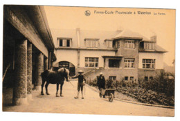 WATERLOO FERME-ECOLE PROVINCIALE LA FERME - Waterloo