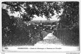 PIERREFITTE Chemin De Montmagny Et Panorama 1910 - Pierrefitte Sur Seine