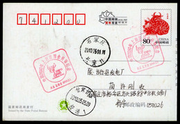 The Opening Of The 2010 Shanghai World Expo./Universal Exposition.China ShiJiaZhuang Special Postmark - 2010 – Shanghai (Chine)