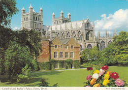 (B-ST095) - EXETER (Devon) - Cathedral And Bishop's Palace - Exeter