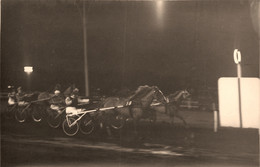 Hippisme - Carte Photo - Course Hippique Hippodrome - Trot Attelé - Jockey - Cheval «  Hop La  » - Reitsport