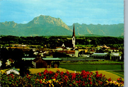 5378  - Oberösterreich , Schwanenstadt Mit Traunstein - Gelaufen 1981 - Vöcklabruck