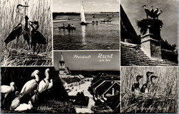 5487  - Burgenland , Rust Am See , Neusiedlersee , Mehrbildkarte , Fischreiher , Löffler - Nicht Gelaufen - Neusiedlerseeorte