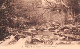 Vallée De La Hoëgne - Le Chêne Rustique - Pepinster