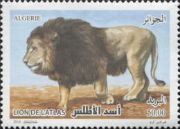Algeria 2016 MiNr. 1840 Algerien Fauna - Barbary Lion (Panthera Leo Leo) 1v MNH** 2,00 € - Algerien (1962-...)