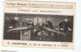 TORTUE GEANTE ETABLISSEMENT C CHARTIER A PARIS * - Schildpadden