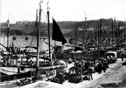 Douarnenez * Le Port De Pêche * Retour Des Bateaux De Pêcheurs Aux Maquereaux - Douarnenez