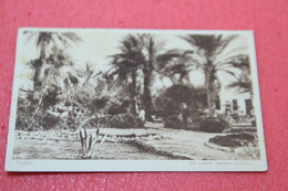 Libia Libya Tripoli Interno Del Giardino Pubblico 1925 Ed. Haggiag - Libyen