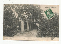 Cp , Arbre , 29 , Finistère , ROSCOFF ,le Figuier , Voyagée 1907 - Alberi