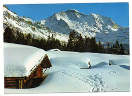 Suisse--WENGEN --1971 -- Jungfrau.........timbre...cachet ...destinée à Charleville (France)...à Saisir - Wengen