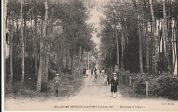 SAINT-BREVIN-les-PINS. - Avenue D'Alsace - Saint-Brevin-les-Pins